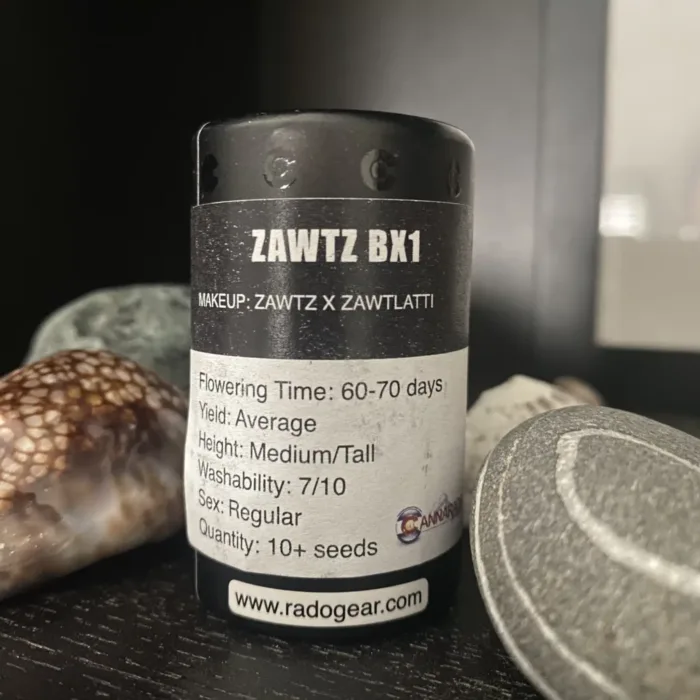 Zawtz Bx1 - (Zawtz x Zawtlatti)