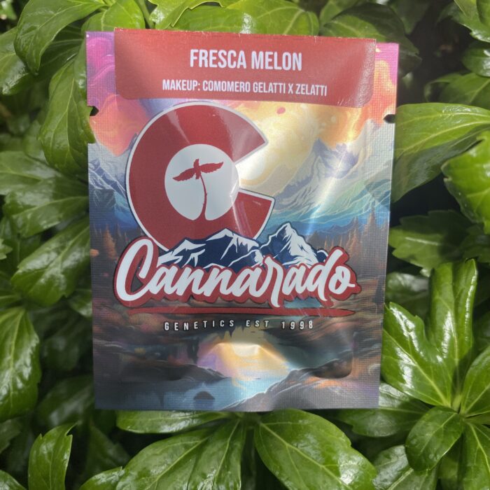 Fresca Melon Pack (Cocomero x Zelatti) REGS