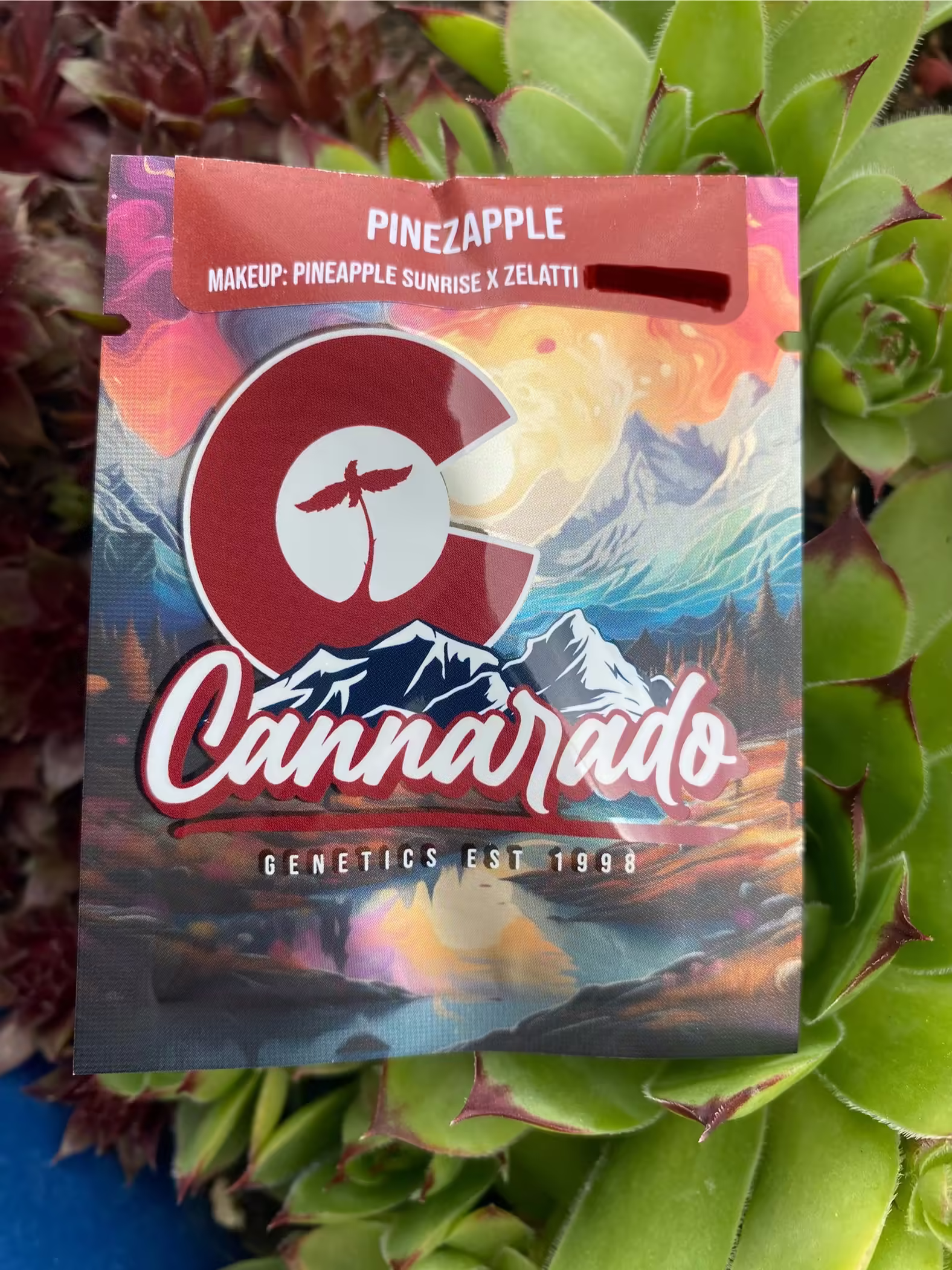 Pinezapple Pack (Pineapple Sunrise x Zelatti) REGS