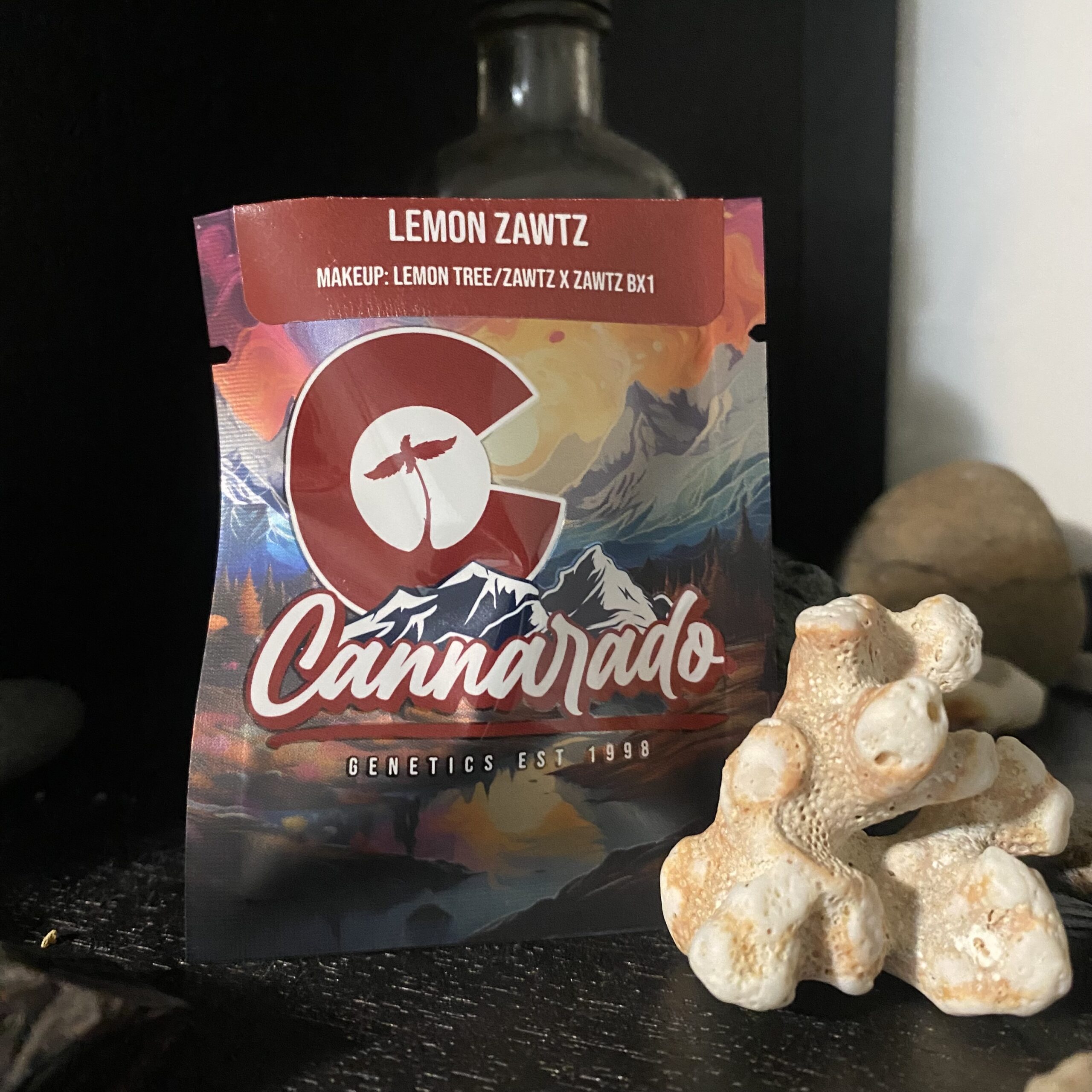 Lemon Zawtz – (Lemon Tree/Zawtz x Zawtz bx1) – Cannarado Genetics