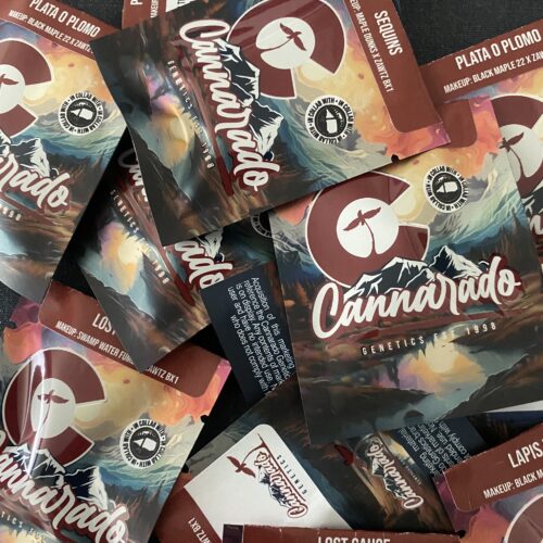 Cannarado/Bloom Collaboration