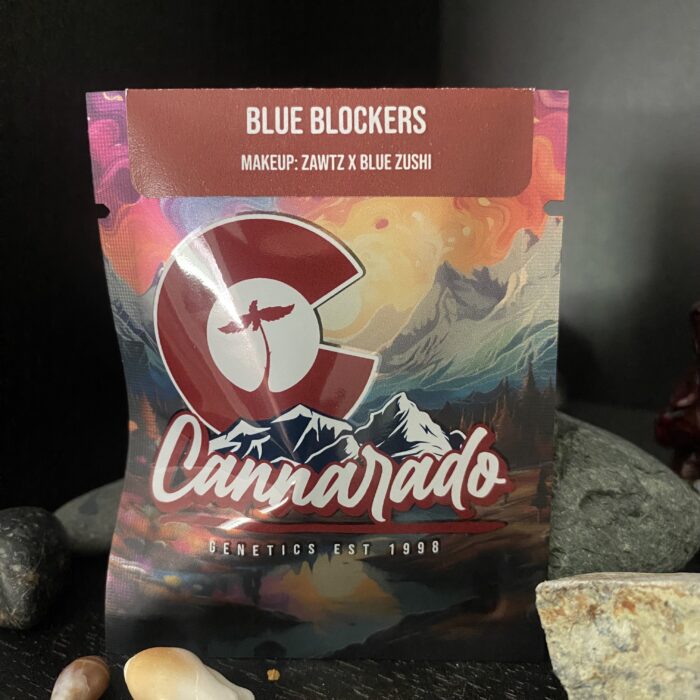 Blue Blockers- (Zawtz x Blue Zushi) - Feminized Seeds
