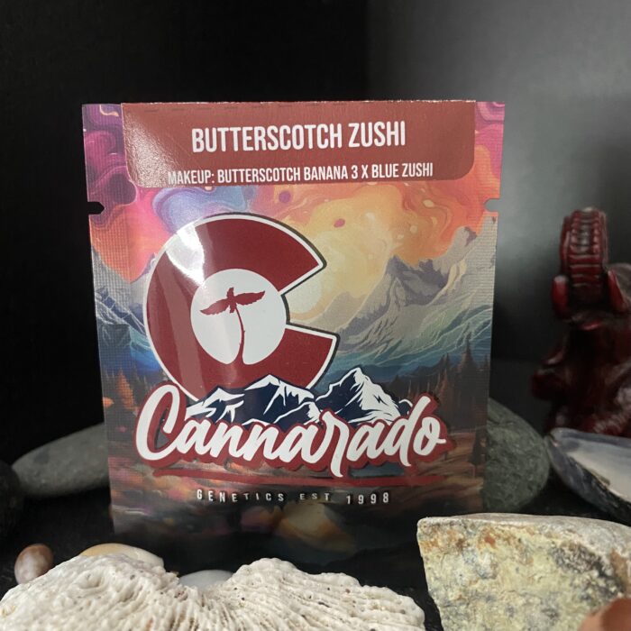 Butterscotch Zushi - (Butterscotch Banana 3 x Blue Zushi) - Feminized Seeds