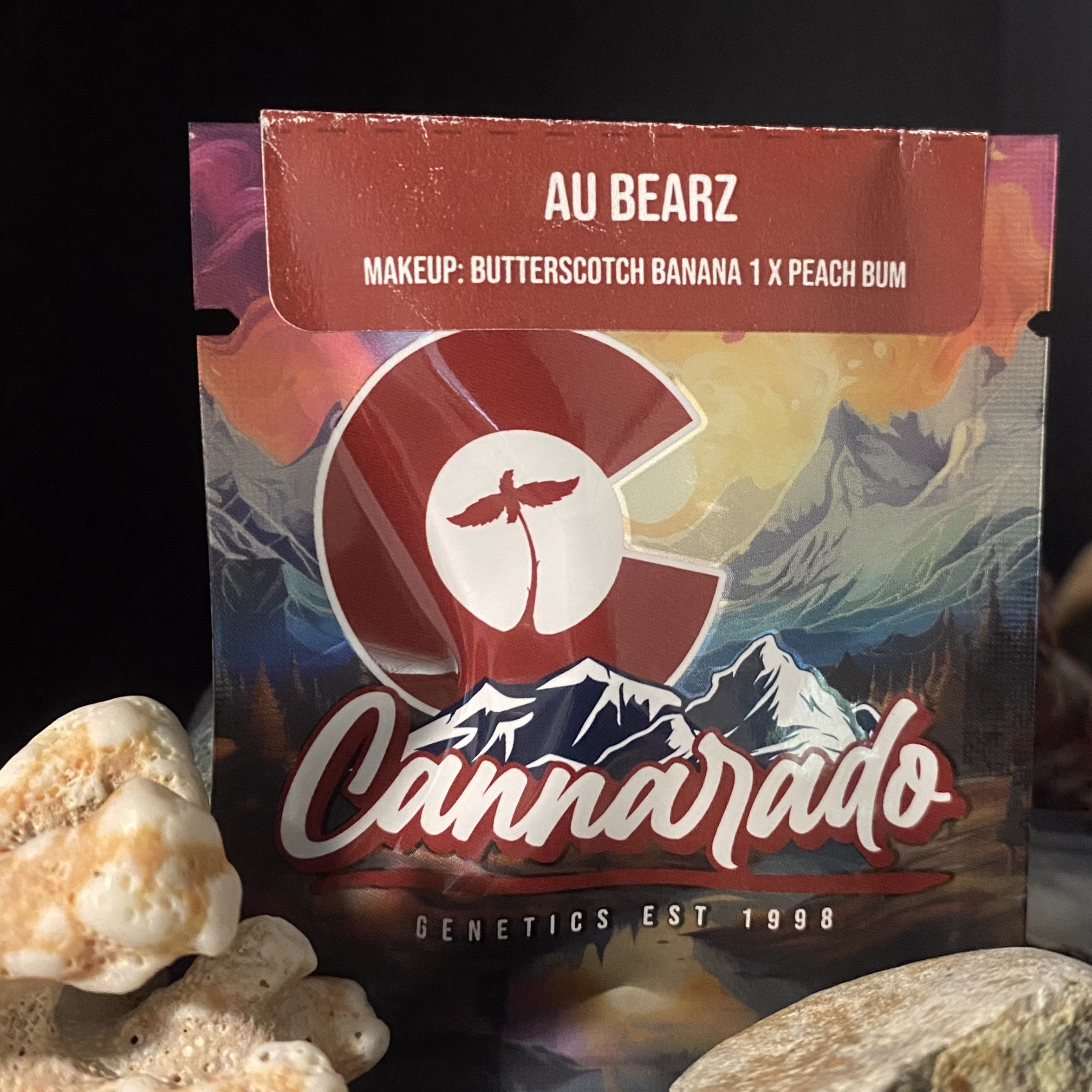 Au Bearz - (Butterscotch Banana 1 x Peach Bum) - Feminized Seeds