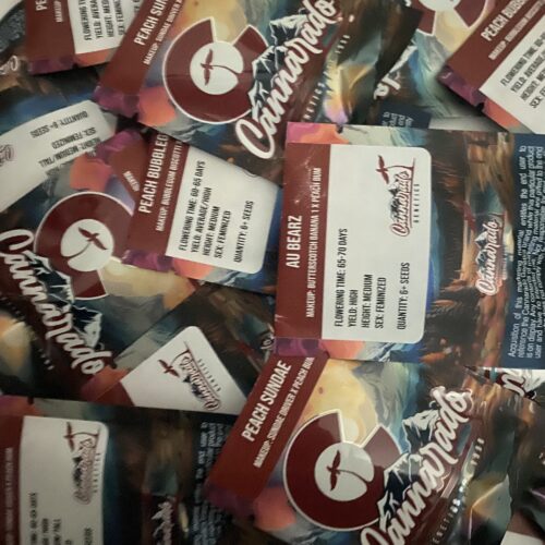 Peach Bum Feminized Seeds