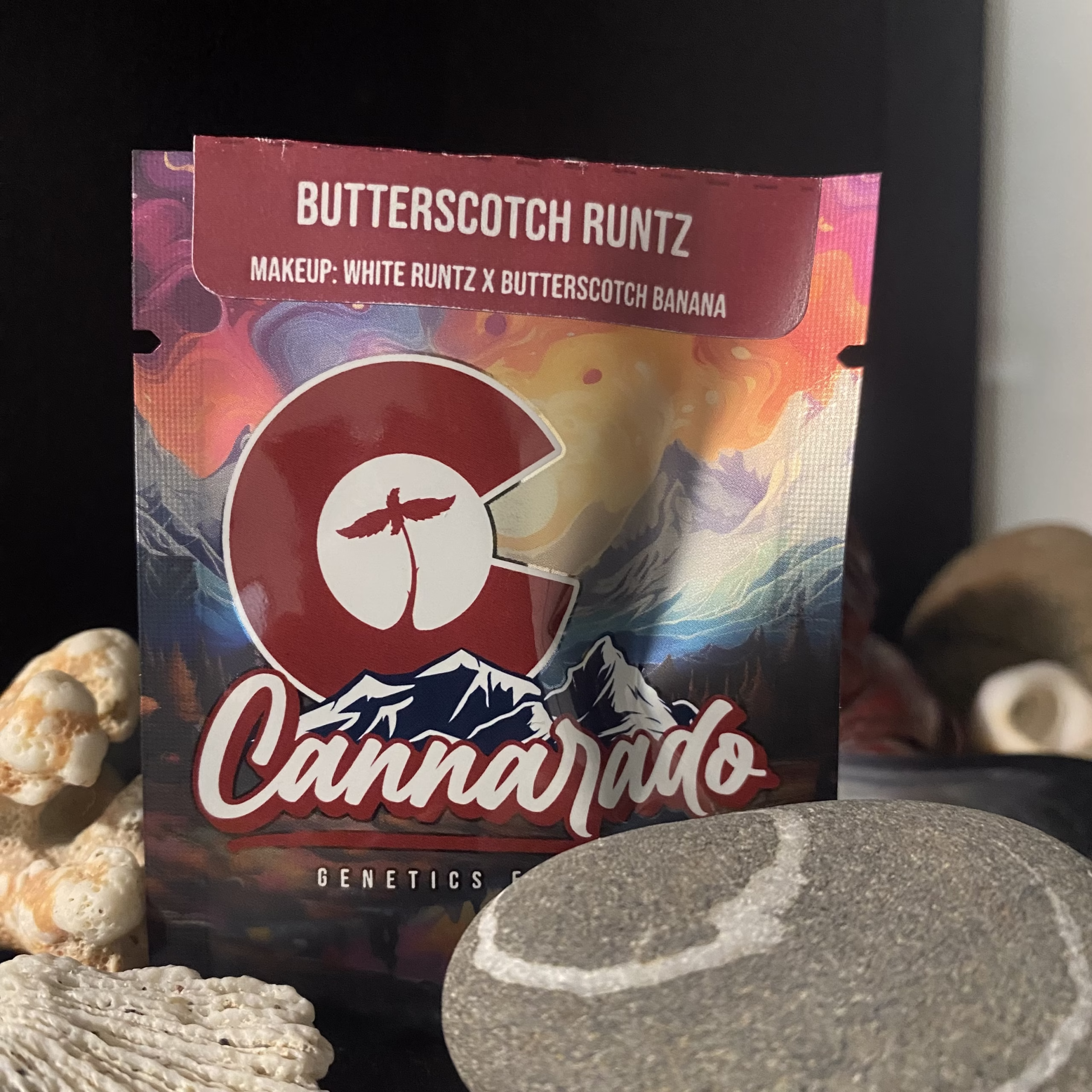 Butterscotch Runtz - (White Runtz x Butterscotch Banana)