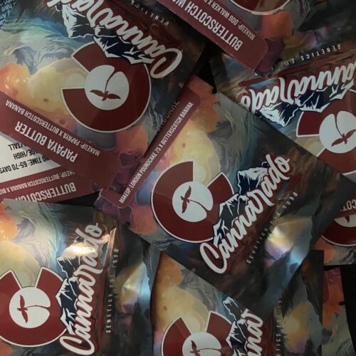 Butterscotch Banana Feminized Seeds